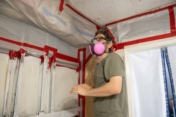 Environmental Consulting for Mold Prevention in Succasunna, NJ