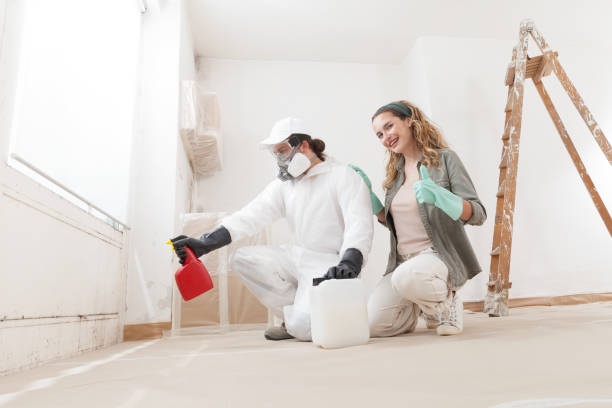 Biohazard Mold Removal in Succasunna, NJ